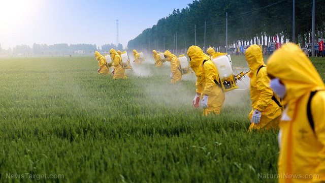 Hướng dẫn An toàn và sức khỏe trong sử dụng hóa chất nông nghiệp (Phần 3): VAI TRÒ VÀ TRÁCH NHIỆM