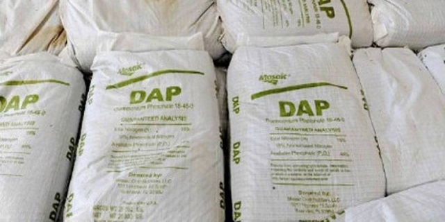 6 lợi ích khi sử dụng phân DAP trong nông nghiệp - Ảnh 2